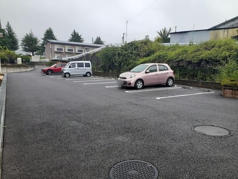 Naikan10 20260805000000