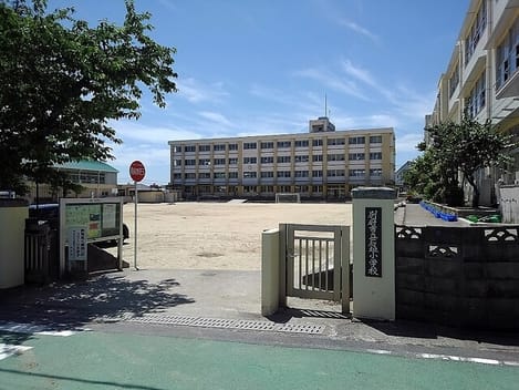 Naikan17 20250418000000