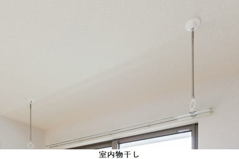 Naikan10 20260424000000