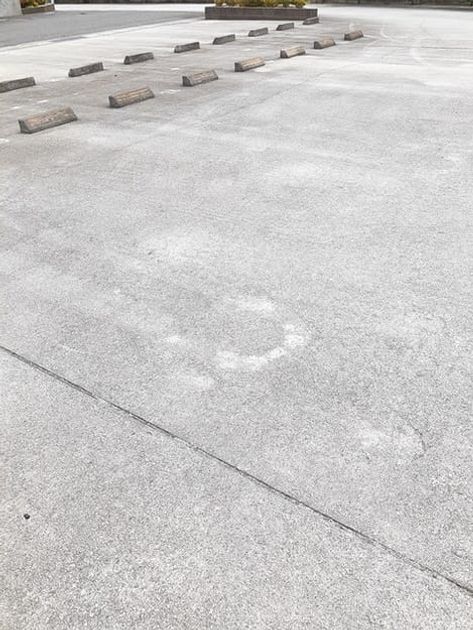 Naikan11 20240626000000 945x630
