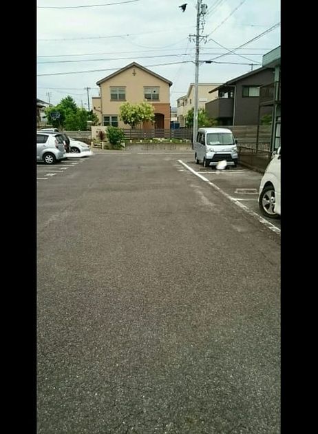 Naikan11 20200625000000 945x630