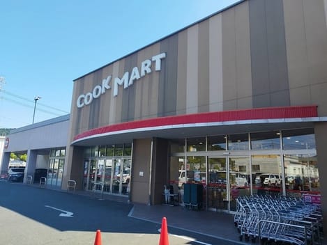 Naikan17 20240605000000