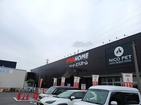 Naikan16 20250527000000