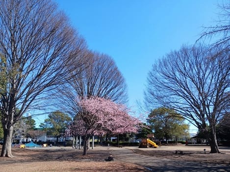 Naikan15 20260917000000
