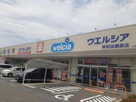 Naikan15 20251024000000