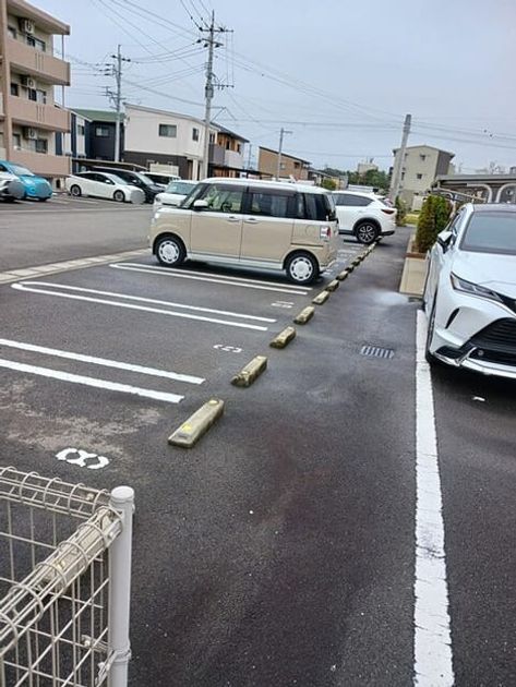 Naikan9 20250304000000 945x630