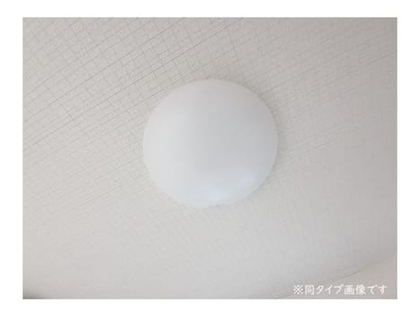 Naikan1 20260907000000 945x630
