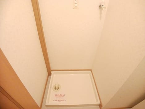 Naikan11 20250121000000