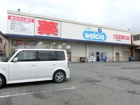 Naikan13 20250807000000