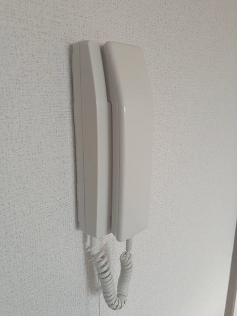 Naikan12 20220119000000