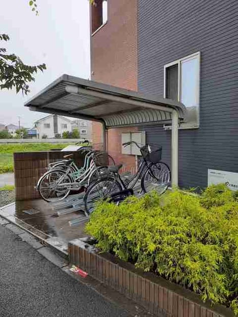 Naikan10 20250207000000
