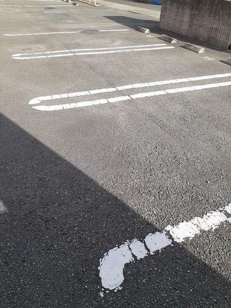 Naikan11 20211208000000 945x630