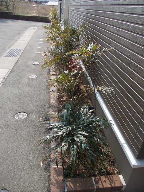 Naikan8 20140205000000