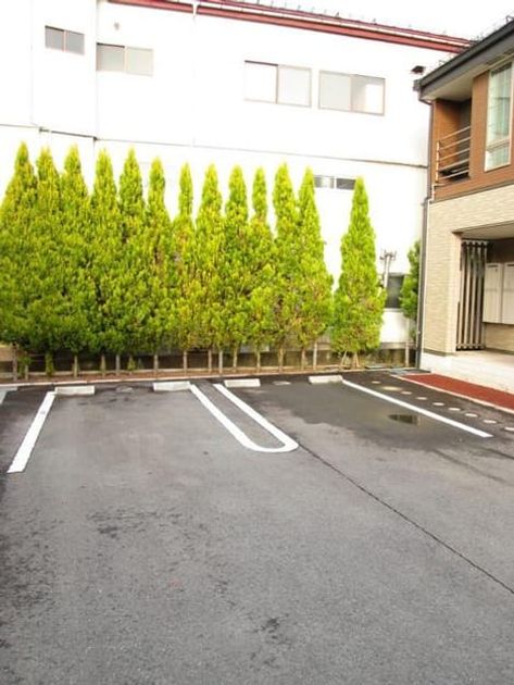 Naikan11 20191220000000 945x630