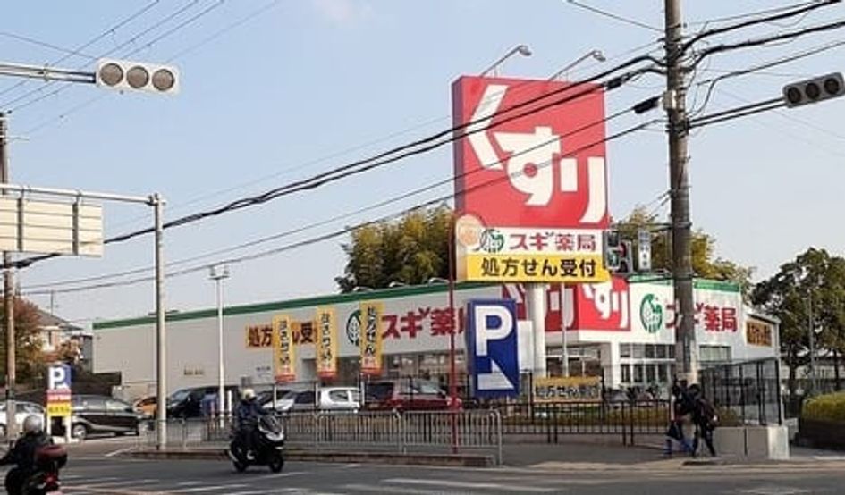 Naikan14 20250617000000 945x630