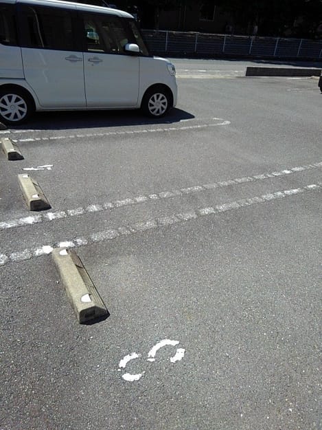 Naikan7 20241205000000