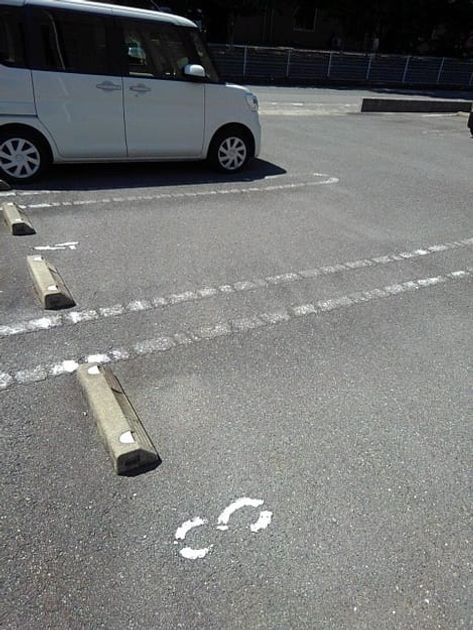 Naikan7 20241205000000 945x630