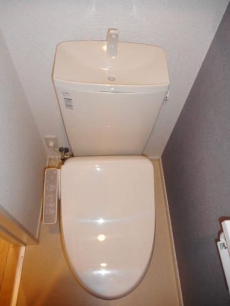 Naikan8 20240619000000 945x630