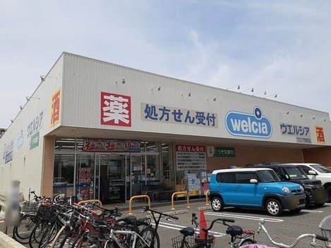 Naikan17 20260227000000