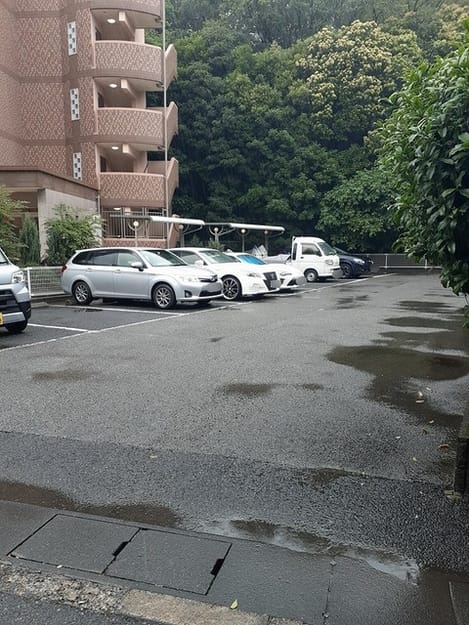 Naikan10 20230609000000