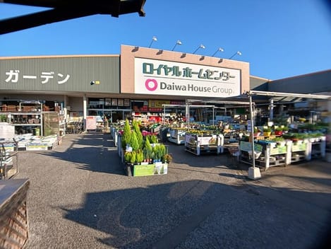 Naikan6 20251119000000