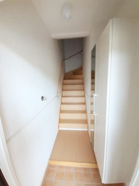 Naikan11 20240305000000 945x630