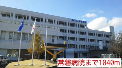 Naikan17 20150209000000