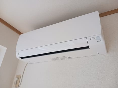 Naikan8 20260216000000