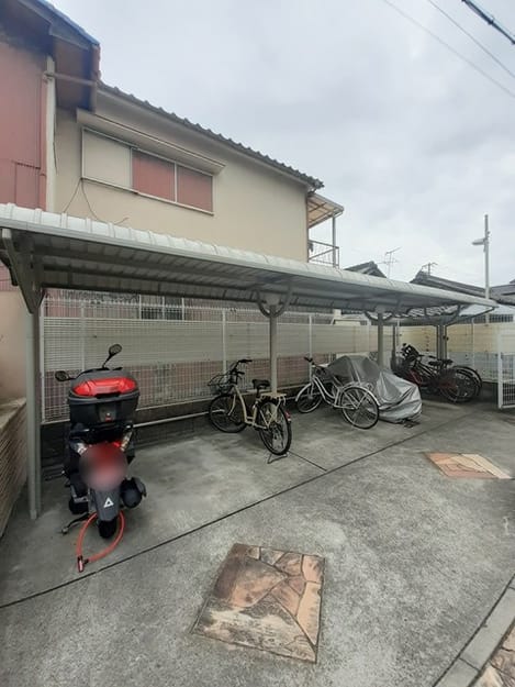 Naikan11 20241015000000