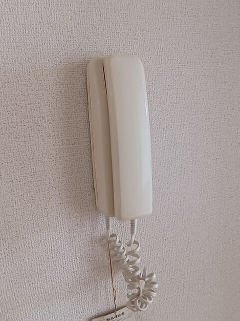 Naikan10 20250606000000
