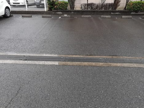 Naikan11 20220512000000