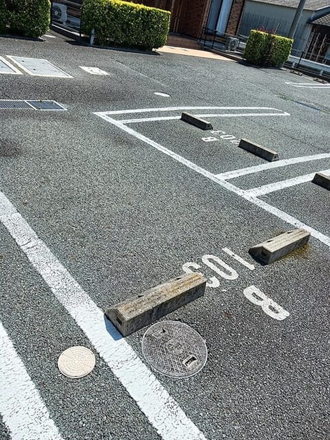 Naikan12 20260612000000