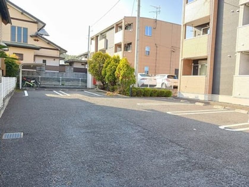 Naikan11 20250424000000 945x630