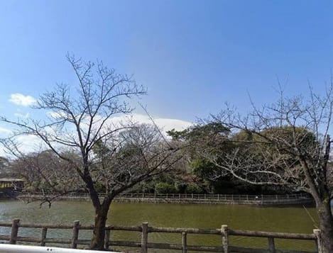 Naikan16 20240930000000