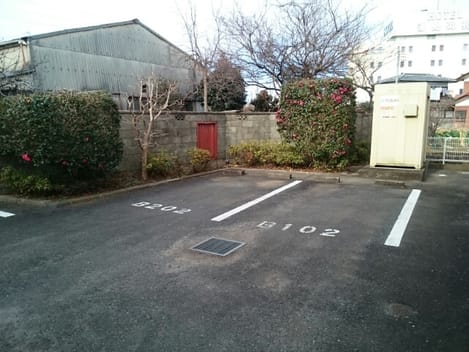 Naikan11 20200106000000
