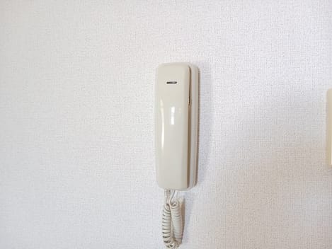 Naikan9 20241223000000
