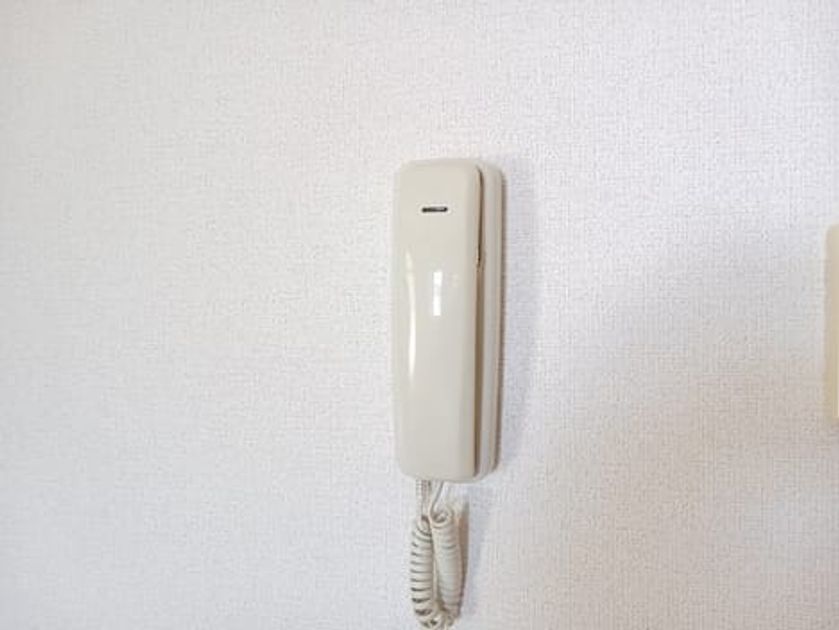 Naikan9 20241223000000 945x630