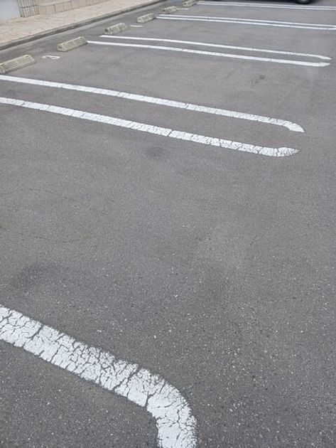 Naikan11 20250804000000 945x630
