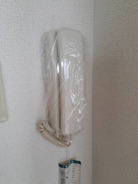 Naikan9 20210527000000