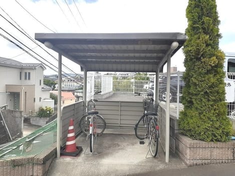 Naikan11 20250613000000