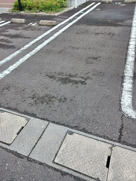 Naikan11 20250930000000 945x630