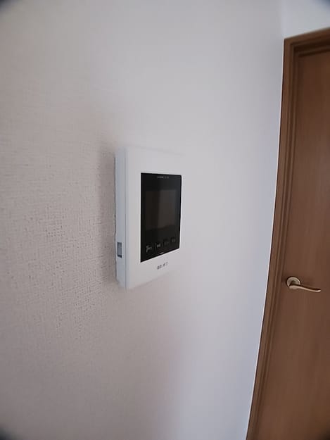 Naikan11 20260624000000