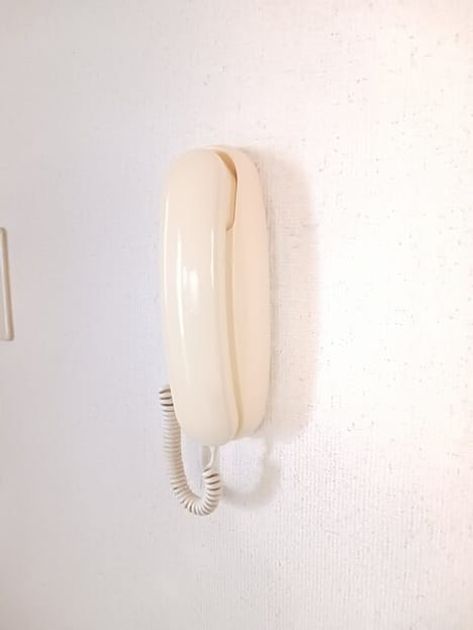Naikan7 20260807000000 945x630