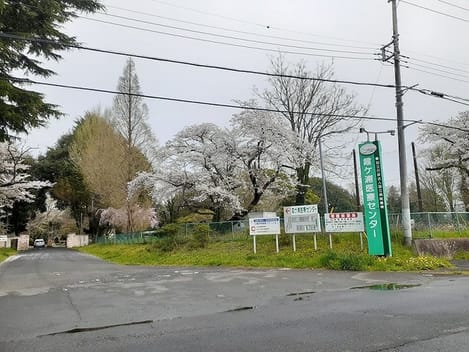 Naikan14 20241211000000