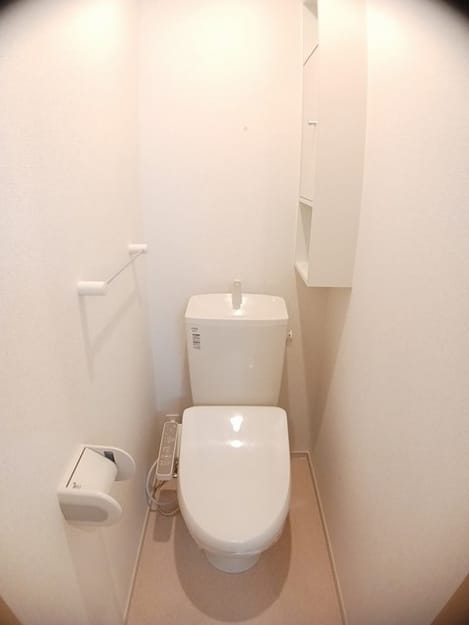 Naikan8 20250205000000