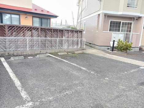 Naikan11 20260220000000