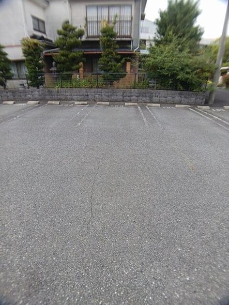 Naikan11 20251104000000 945x630