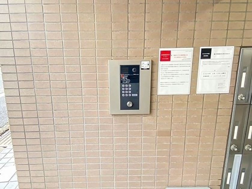 Naikan23 20251226020943 945x630