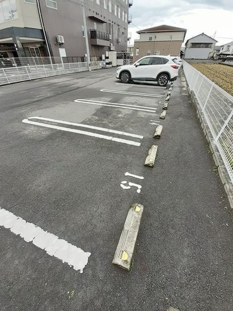 Naikan11 20231212000000 945x630