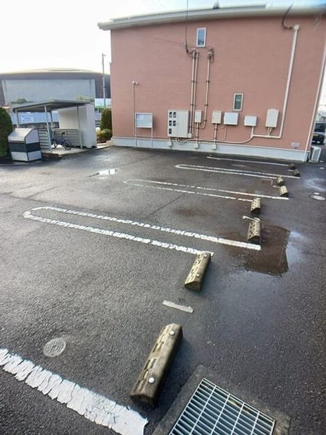 Naikan11 20260113000000 945x630